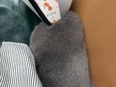 -联合动物医院(光谷诊疗中心)