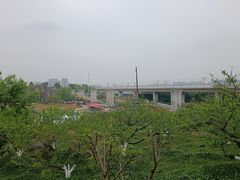-秀丽东方