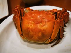 -银子铁板烧料理自助餐(人民广场店)