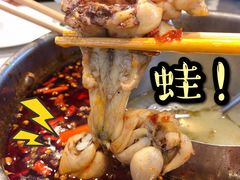 鲜活牛蛙-蛙两只美蛙鱼头火锅(恒茂店)