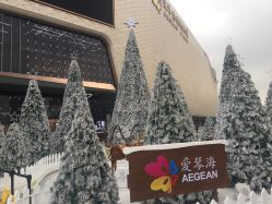 点击看大图 -TIGI英国美发沙龙