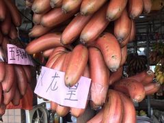 -大湾区中央湿地公园-十九涌