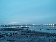 -宝安西湾红树林湿地公园