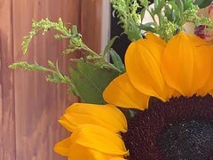 -Catch Bagel(芳草地店)