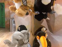 -珠海横琴国家地理探险家中心(创新方)