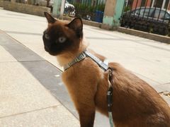 -爱派特动物医院·全科诊疗中心
