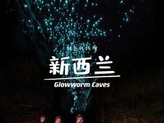 -怀托摩萤火虫洞