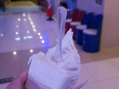 -野人先生现做冰淇淋(北京顺义祥云小镇店)