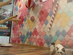 -袖虎·猫馆(体育西路店)