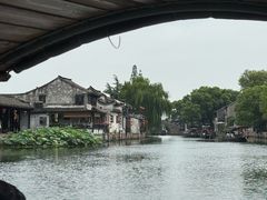 -西塘人家•黑金冠本地好店