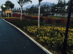 iphone_upload_pic-灵山莲花公园-温泉度假区