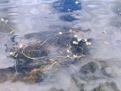 -丽江泸沽湖景区