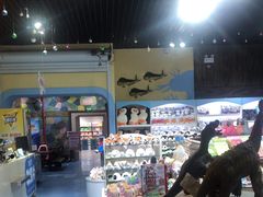 -梦幻海洋王国(吾悦广场张家港店)