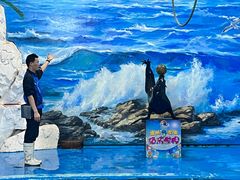 -左海海底世界