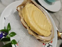 -蝶园·装修中(BFC外滩金融中心店)