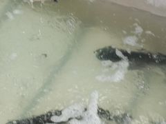-姥家大锅台水库渔家