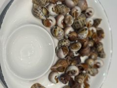 海螺-杨记海鲜楼(三门黑金冠店)