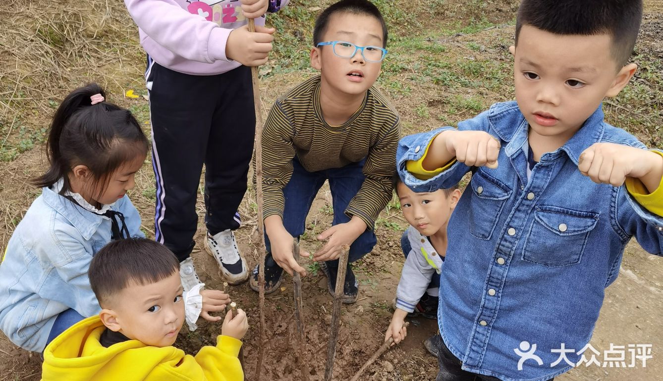 重庆荣昌盘龙镇盘周路路边上的一处果园