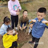 重庆荣昌盘龙镇盘周路路边上的一处果园