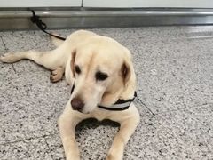 -白云机场易登机休息区