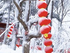 -沂蒙山旅游区云蒙景区(蒙山国家森林公园)