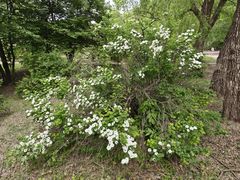 -黑龙江省森林植物园
