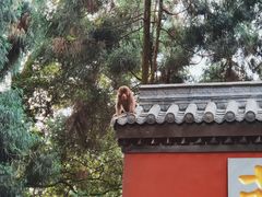 -峨眉山风景名胜区