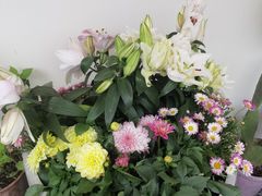 -AHAVA·Fang Baking Studio