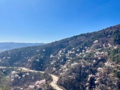 -北京凤凰岭