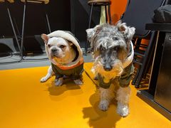 -一品牛鲜潮汕牛肉火锅(茶花园店)