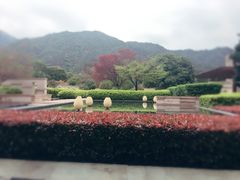 -羡餐厅·杭帮菜·淳菜(千岛湖自由洲际殿店)