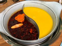 -青瓷火锅料理(西单大悦城店)