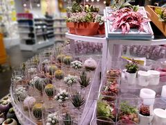 -KKV(深圳宏发大仟里店)