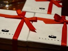 -BLACKSWAN黑天鹅(环球店)