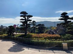 -珠海长隆海洋王国