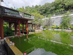 -广州神农草堂中医药博物馆