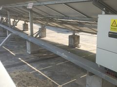 -欢乐牧人蒙古炭烤羊腿(四平路店)