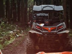 -武陵山森林公园