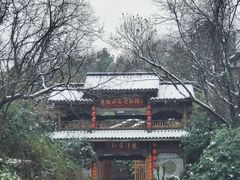 -龙井村