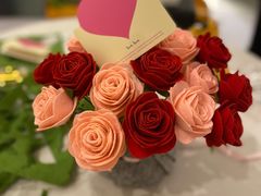 -优护佳月嫂育儿嫂中心(静安店)