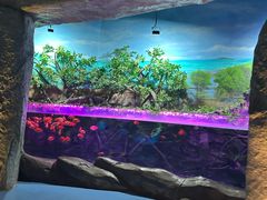 -梦幻海洋王国(吾悦广场张家港店)