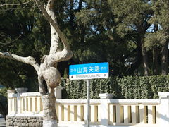 -八大关景区