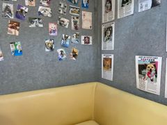 -瑞派申生动物医院·24H夜诊·国际动物医疗中心·骨外科(吴中路店)