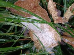 -老杭州面馆(丰盛九玺店)