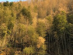 -梅岭月亮湾山体公园