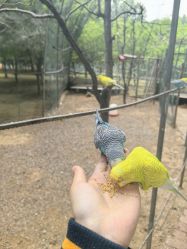 -乐zoo动物体验营