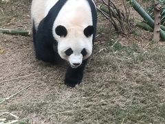 -泉州海丝野生动物世界