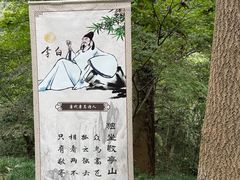 -敬亭山风景名胜区