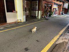 -金伯利街美食夜市
