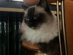 -Estaeslavida分享茄雪茄吧(亿彩购物中心店)